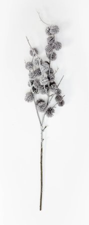 Репей в снегу