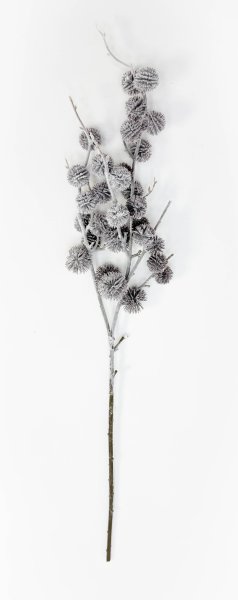 Репей в снегу