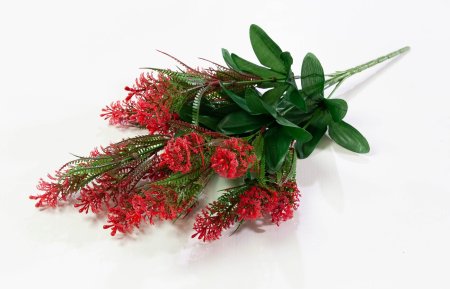 77f2a2a61a29dab7e3ba8d0c2093c3fb