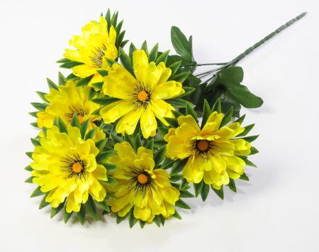 Георгин "Свирель" 6 цветков