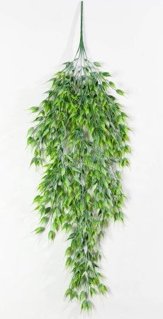 картинка Ампельная зелень Шанте от магазина KALINA