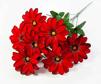 Георгин "Азия" 7 цветков от магазина KALINA являющийся официальным дистрибьютором в России 