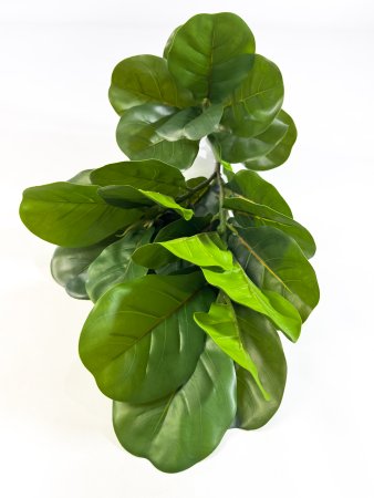 Лирата 29 листов