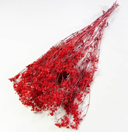 Гипсофила 4