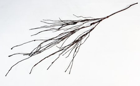 Ветка средняя темно-коричневая