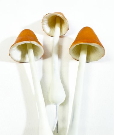 Гриб на ножке с оранжевой шляпкой