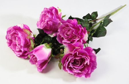 Ветка розы "Кармен" 4 цветка 1 бутон