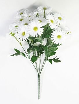 Ромашка луговая 21 цветок от магазина KALINA являющийся официальным дистрибьютором в России 
