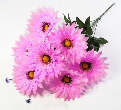 Астра "Лауреат" 7 цветков от магазина KALINA являющийся официальным дистрибьютором в России 