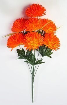 Хризантема "Престиж" 7 цветков от магазина KALINA являющийся официальным дистрибьютором в России 