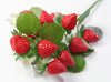 Веточка клубники