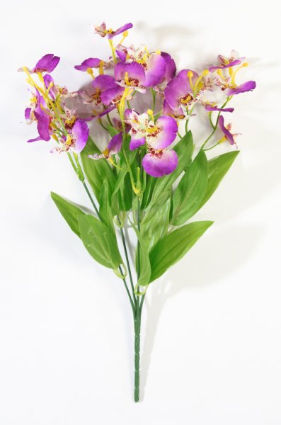 Орхидея "Милашка"