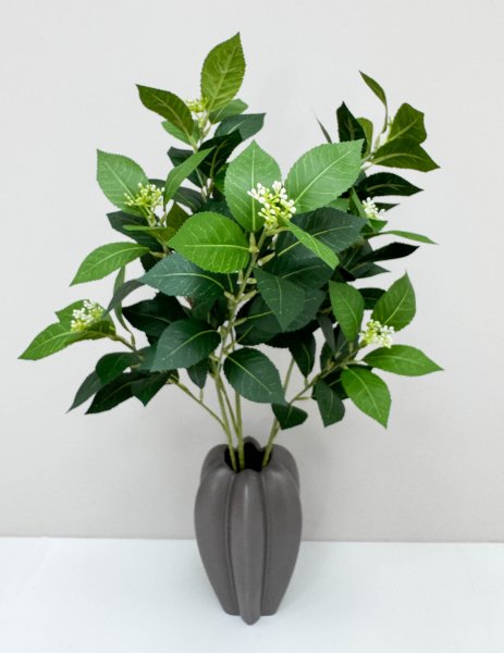 картинка Калина лавровидная  от магазина KALINA