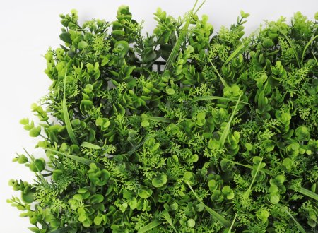 картинка Газон "Ландшафтный с осокой" от магазина KALINA