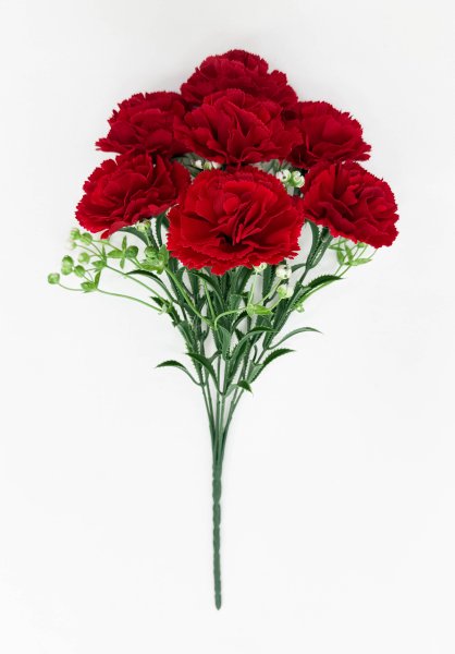 Гвоздика "Аристократ" 7 цветков