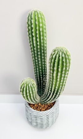 Кактус 58 см