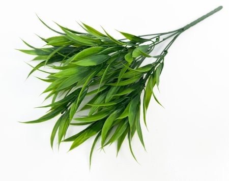 Рускус лесной