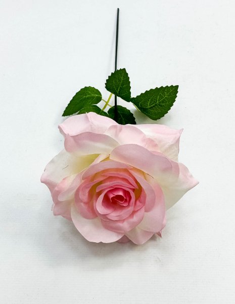 Роза штучка "Палома" светло-розовая