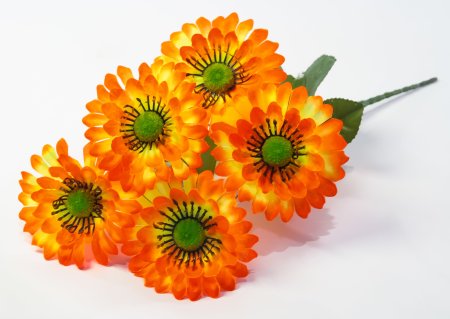 Букет ромашек "Паприка" 5 цветков