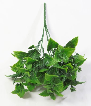 картинка Ветка мяты от магазина KALINA