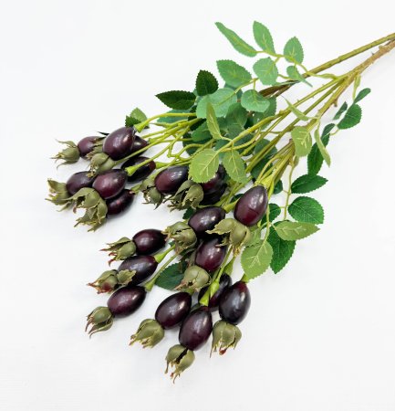 Шиповник "Воронцовский" бордовый