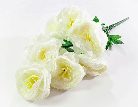 Пион великан9 цветков от магазина KALINA являющийся официальным дистрибьютором в России 