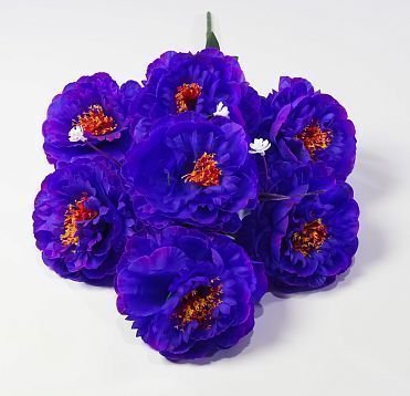 Пион "Мадам Баттерфляй" 7 цветков от магазина KALINA являющийся официальным дистрибьютором в России 