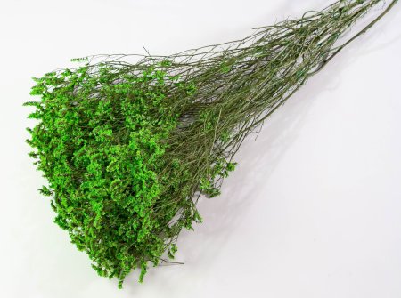 Лимониум стабилизированный 5