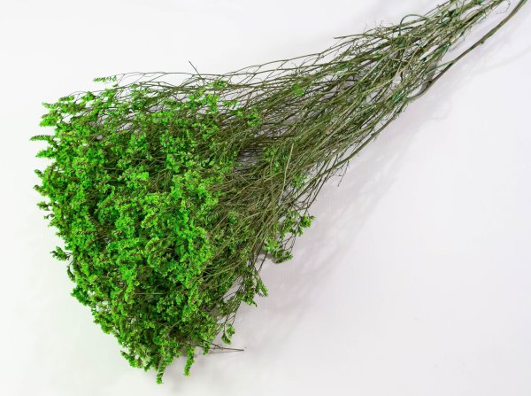 Лимониум стабилизированный 5