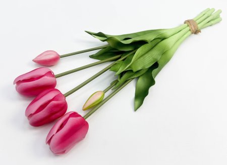 Тюльпан "Корона весны" розовый