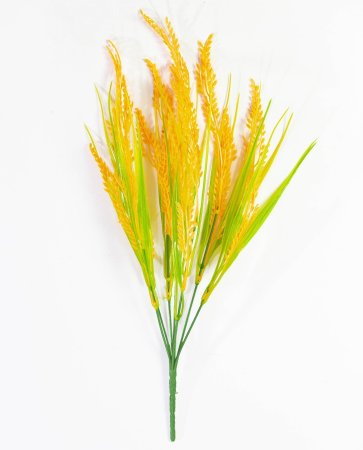 Пшеничка с мелким колосом