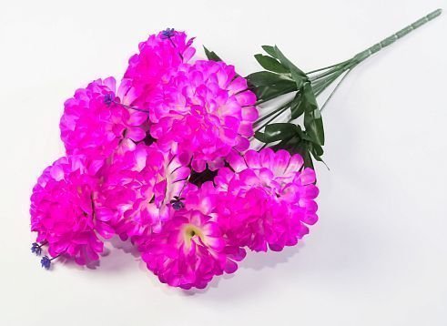 Шафран "Эпоха" 7 цветков от магазина KALINA являющийся официальным дистрибьютором в России 