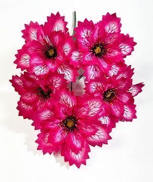 Астра "Долли" 5 цветков от магазина KALINA являющийся официальным дистрибьютором в России 