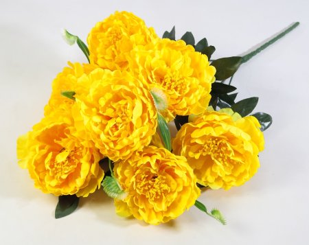 Букет пиона "Сапфир" 7 цветков