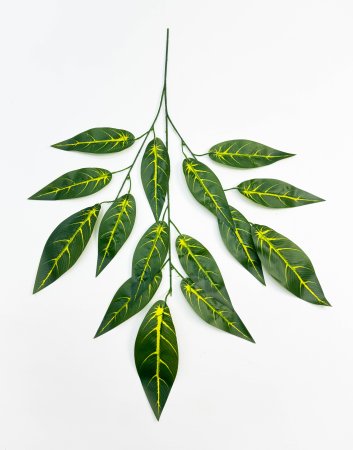 картинка Лист кротона от магазина KALINA