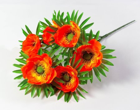 5165d5e4fb47e93aad2289b808110a9e