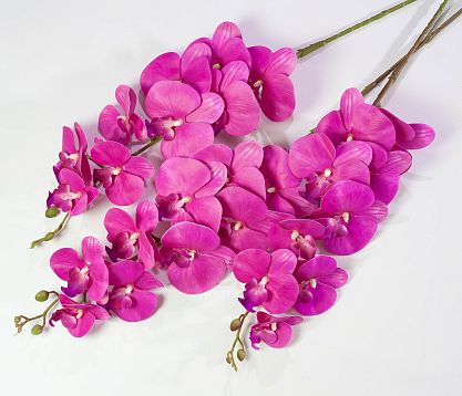 Ветка орхидеи 23 от магазина KALINA являющийся официальным дистрибьютором в России 