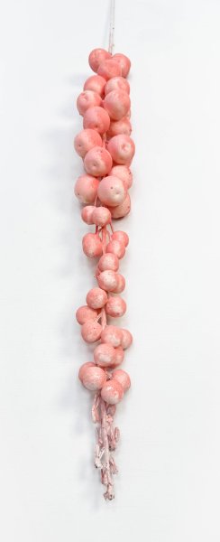 Ветка "Розовый бисквит"