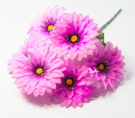 Георгин "Алинка" 6 цветков