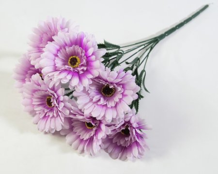 Букет гербер "Фестиваль" 7 цветков