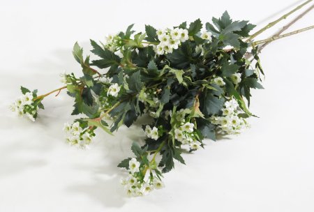 Спирея трехлопостная