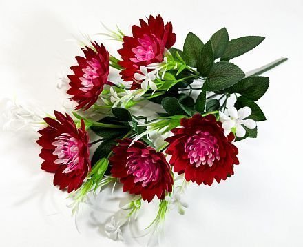 Астра "Искра" 5 цветков от магазина KALINA являющийся официальным дистрибьютором в России 