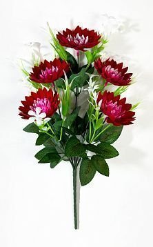 Астра "Искра" 5 цветков от магазина KALINA являющийся официальным дистрибьютором в России 