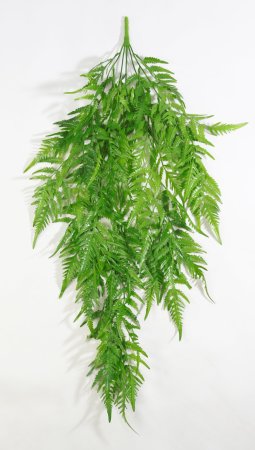 картинка Ампельная зелень оноклеи тропической от магазина KALINA