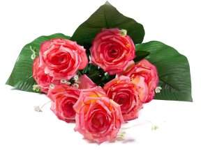 36ac9c9a8750fdd23d2ea0d6a064f817
