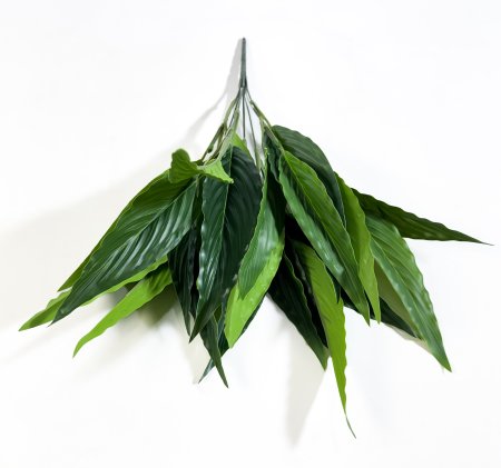 картинка Аглаонема малая 7 веток 21 лист от магазина KALINA