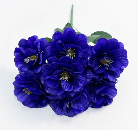 Георгин "Жоржина" 7 цветков