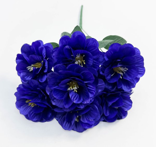 Георгин "Жоржина" 7 цветков