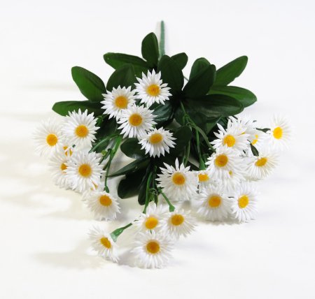 Букет ромашек "Пересвет" 28 цветков