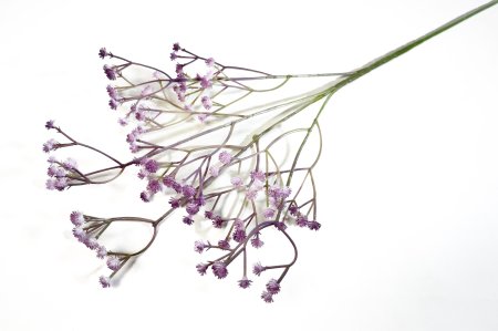 Ветка гипсофилы "Светло-лиловая"